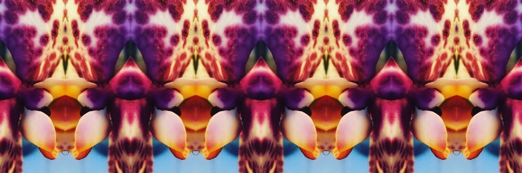 Riki Neill banner