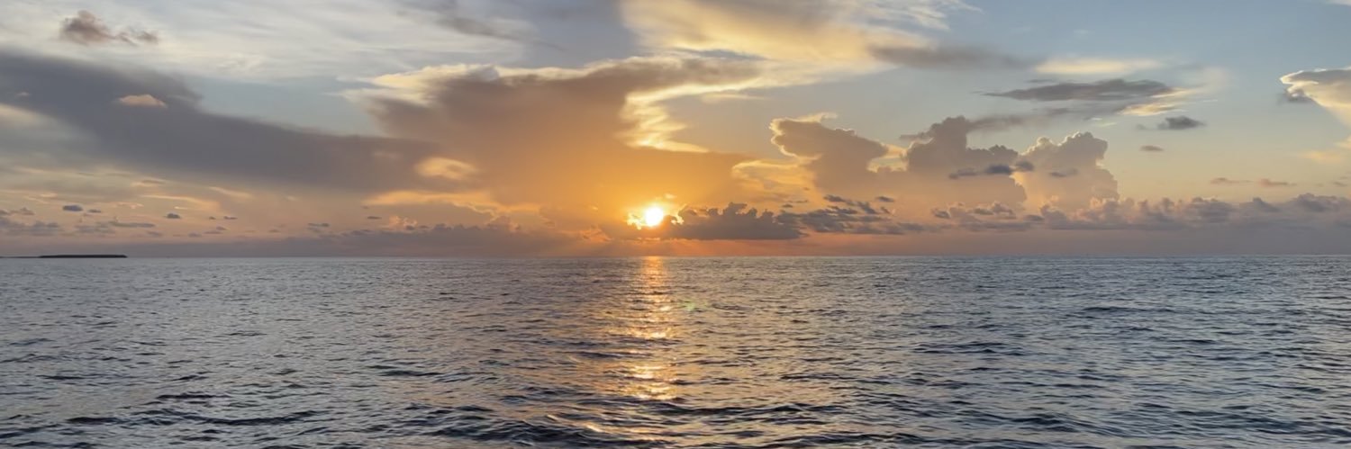 Samantha Steuber banner