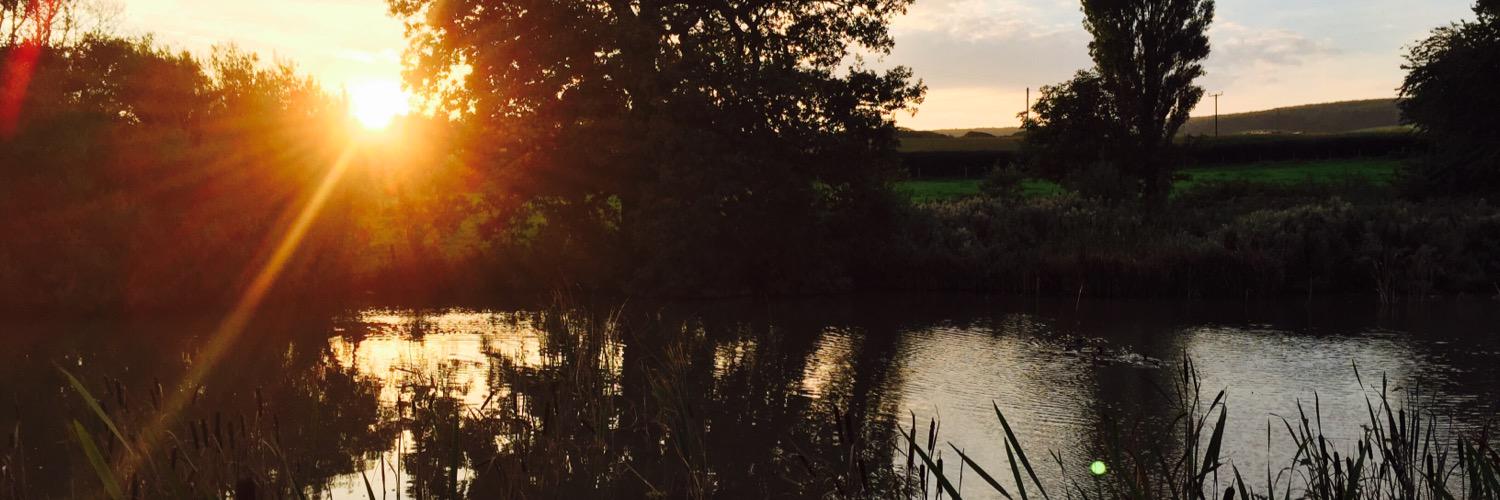 SusChap's profile banner image