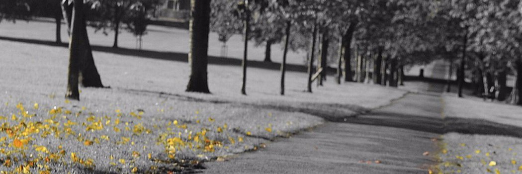 hoschiandre's profile banner image