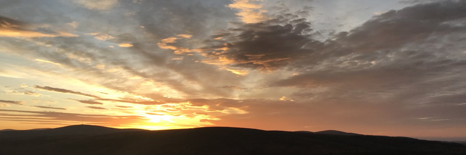 Jessica Pritzel banner