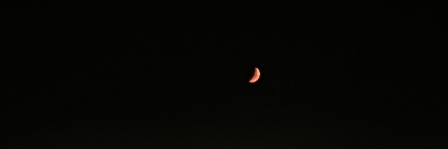 _itsbibi_'s profile banner image
