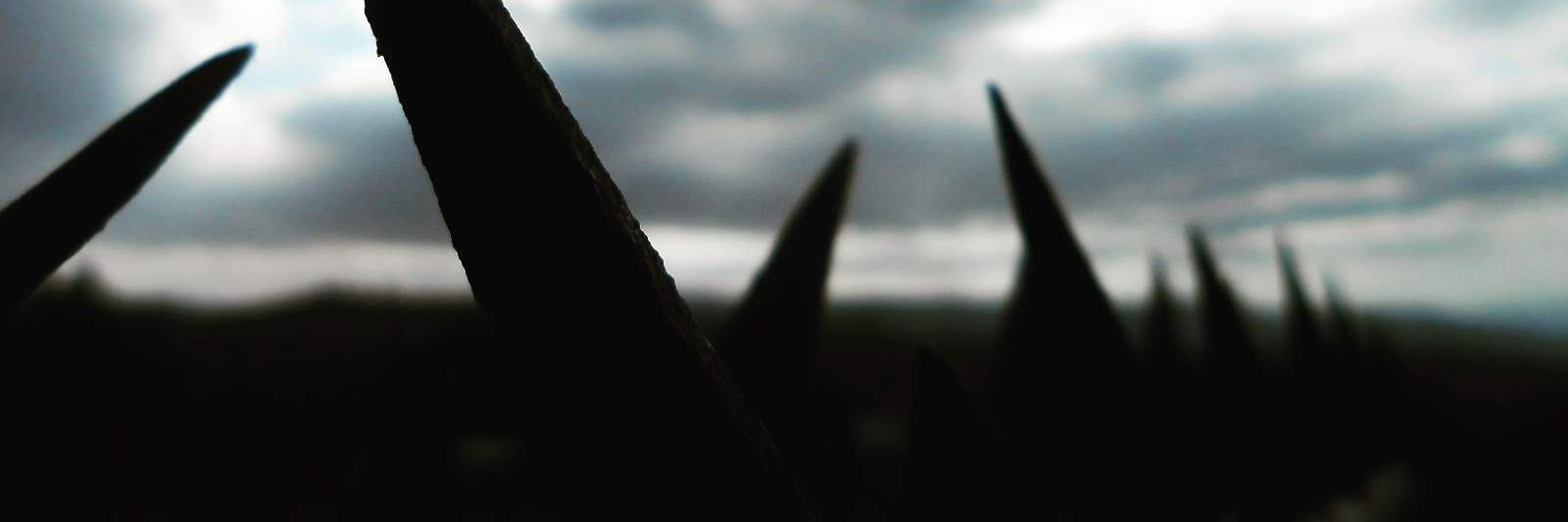 ianzondo's profile banner image