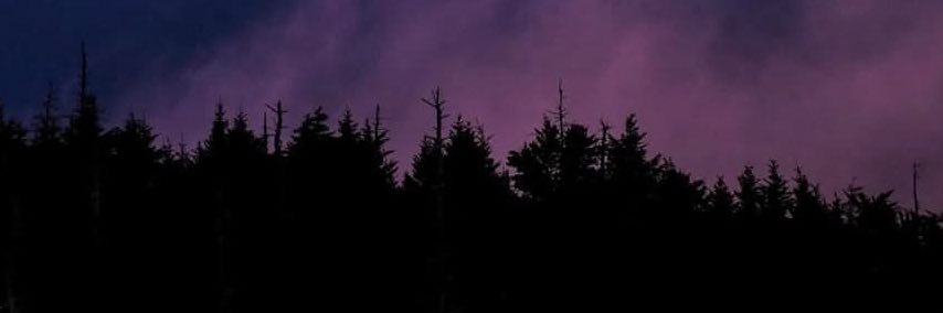 gem of the mountain banner