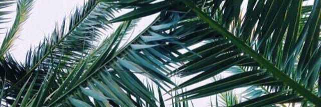 roxyy_bell's profile banner image