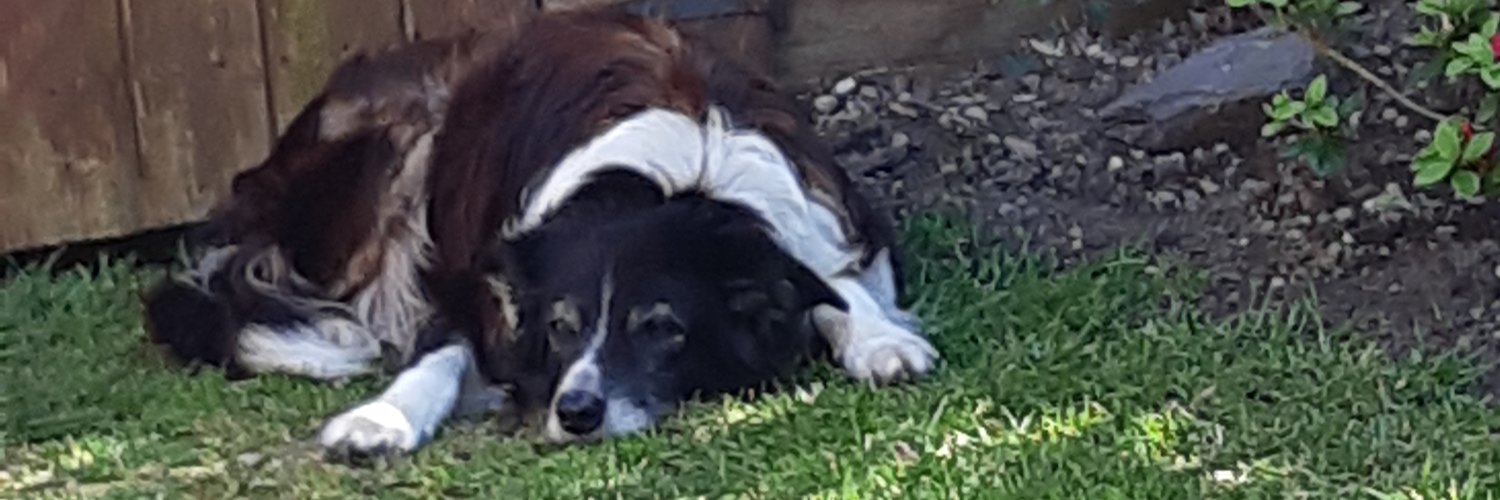 stella scoble banner