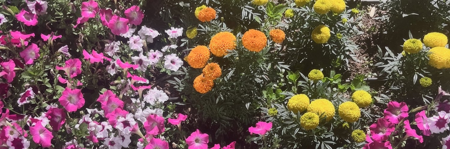 RebeeSchwab's profile banner image