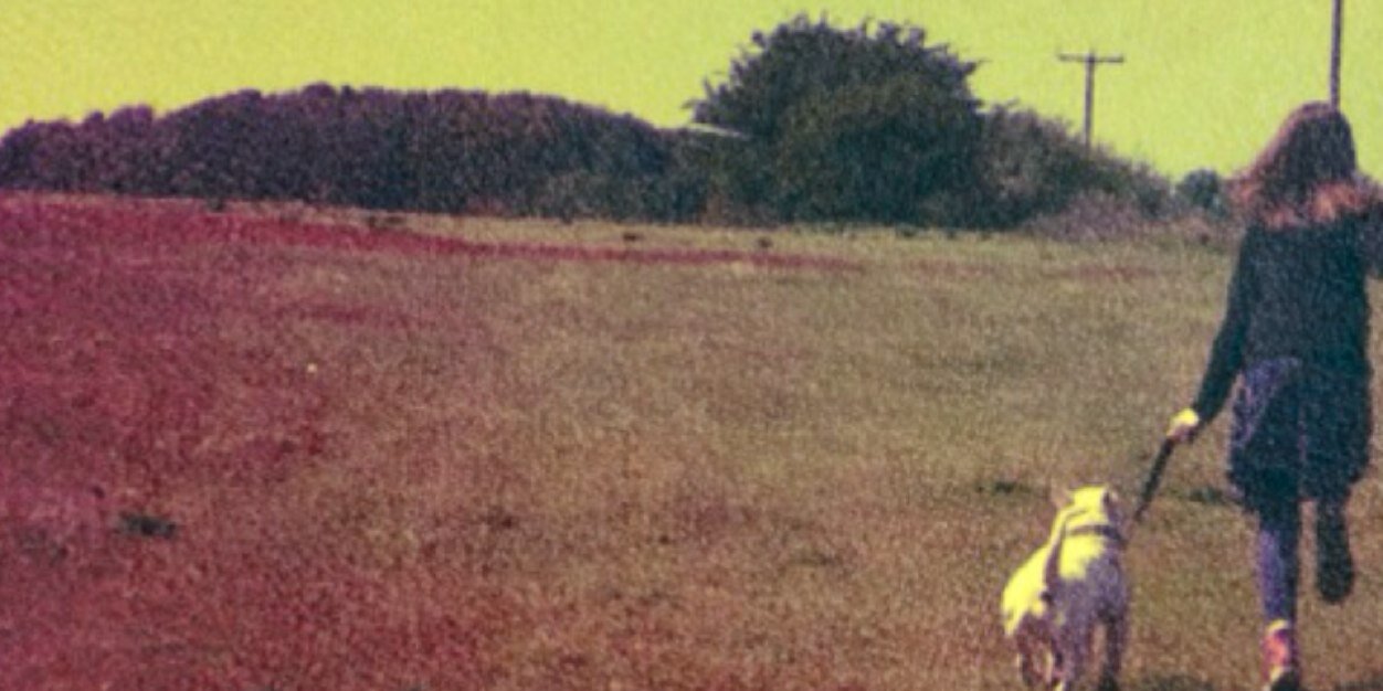 carywarry's profile banner image