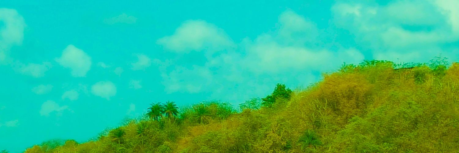 watsondukepdp's profile banner image