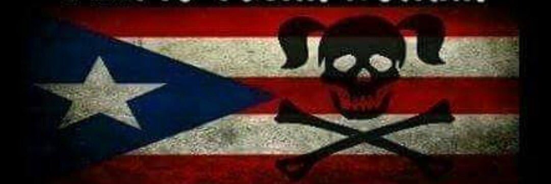 SteelersBikerPrincess banner