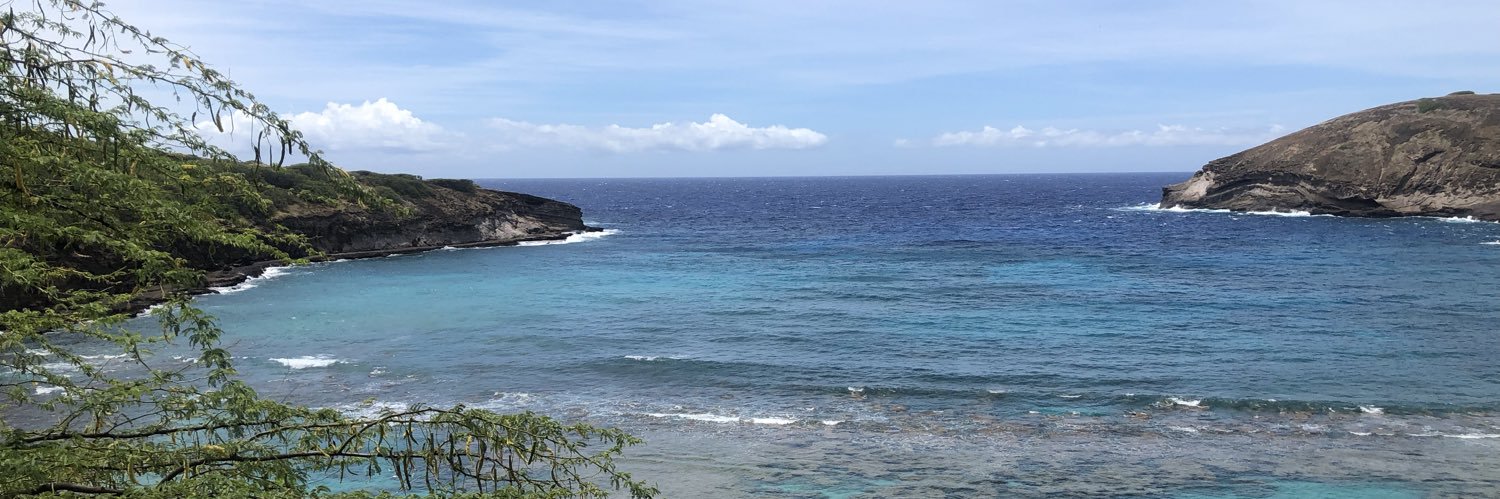 T Mitchell Kvigne banner