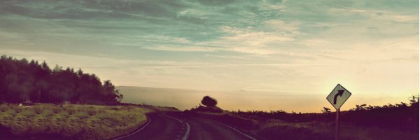 ash_hon Profile Banner