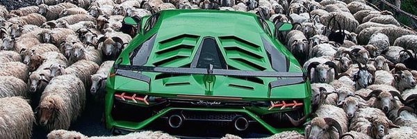 Thomas4prez Profile Banner