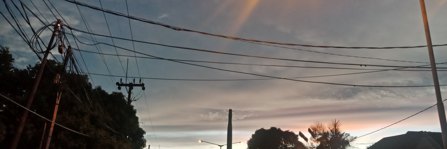 tahusebaskom's profile banner image