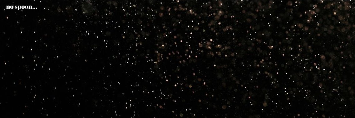 morfies's profile banner image