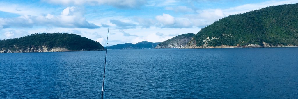 Cdwinsto's profile banner image