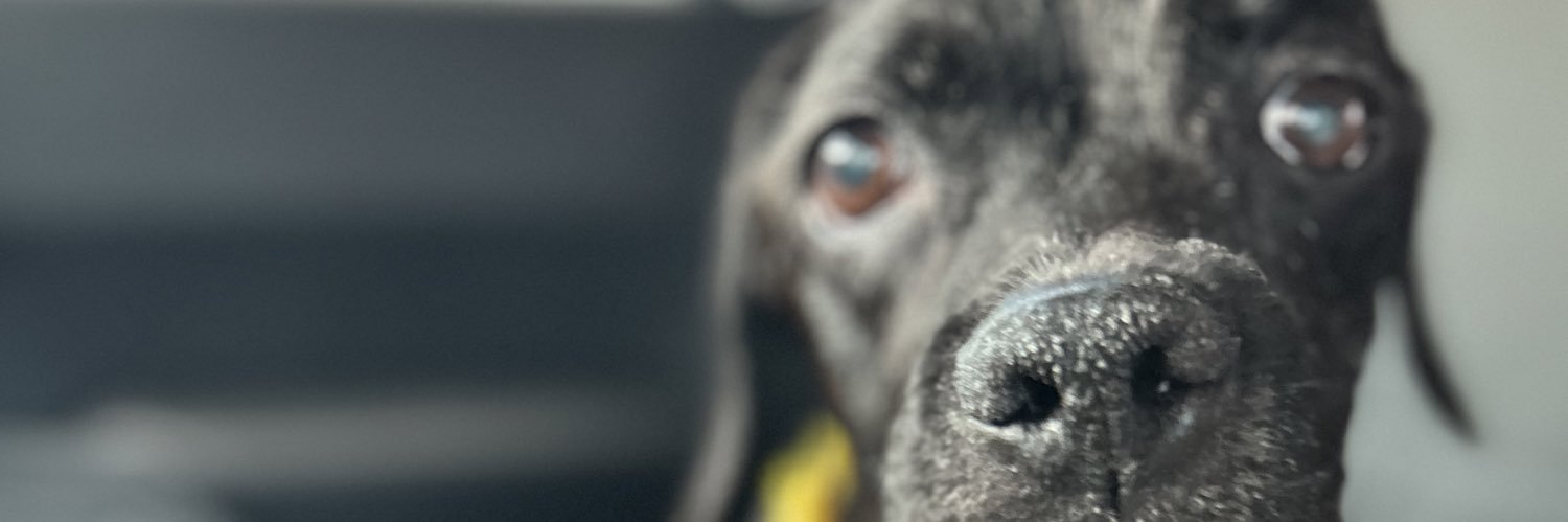 samm__k's profile banner image