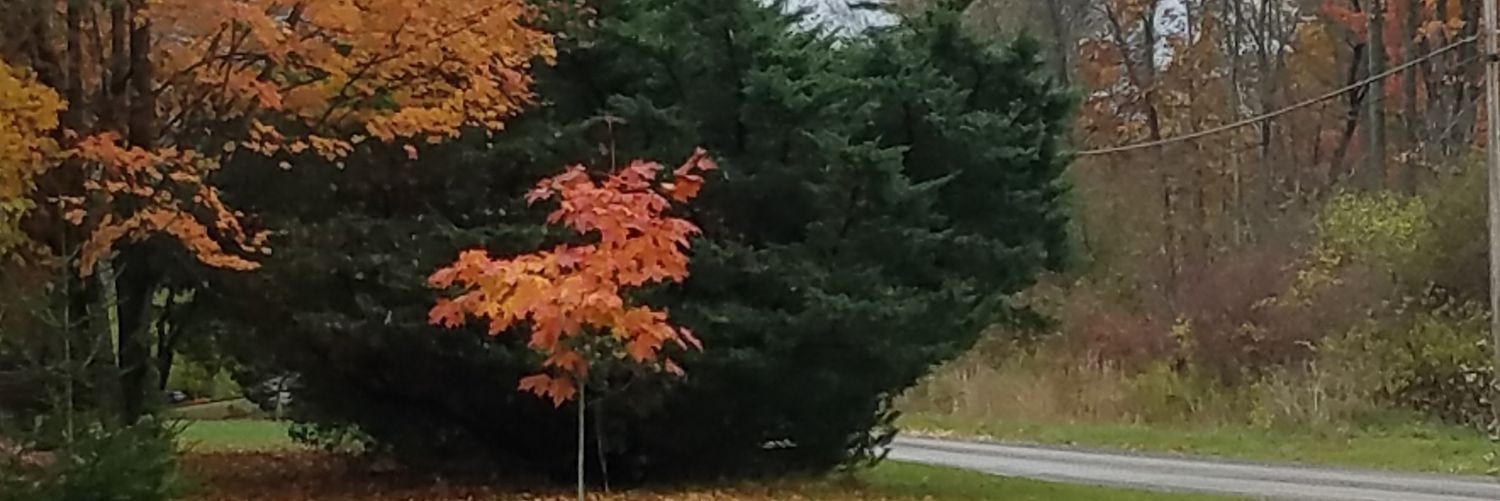 brettsgopens86's profile banner image