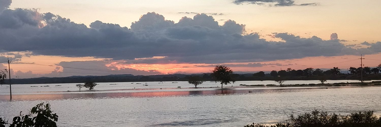 LiibardoJose's profile banner image