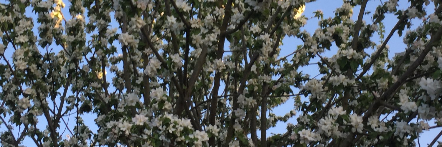 aitkeri's profile banner image