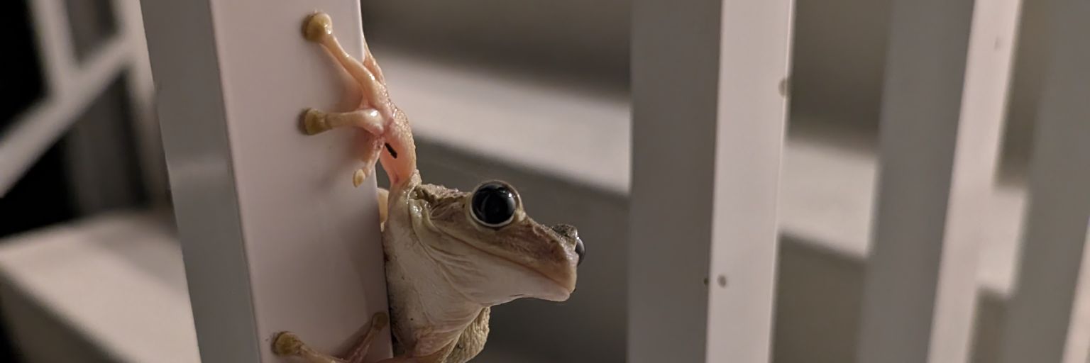 Natalie Pope banner