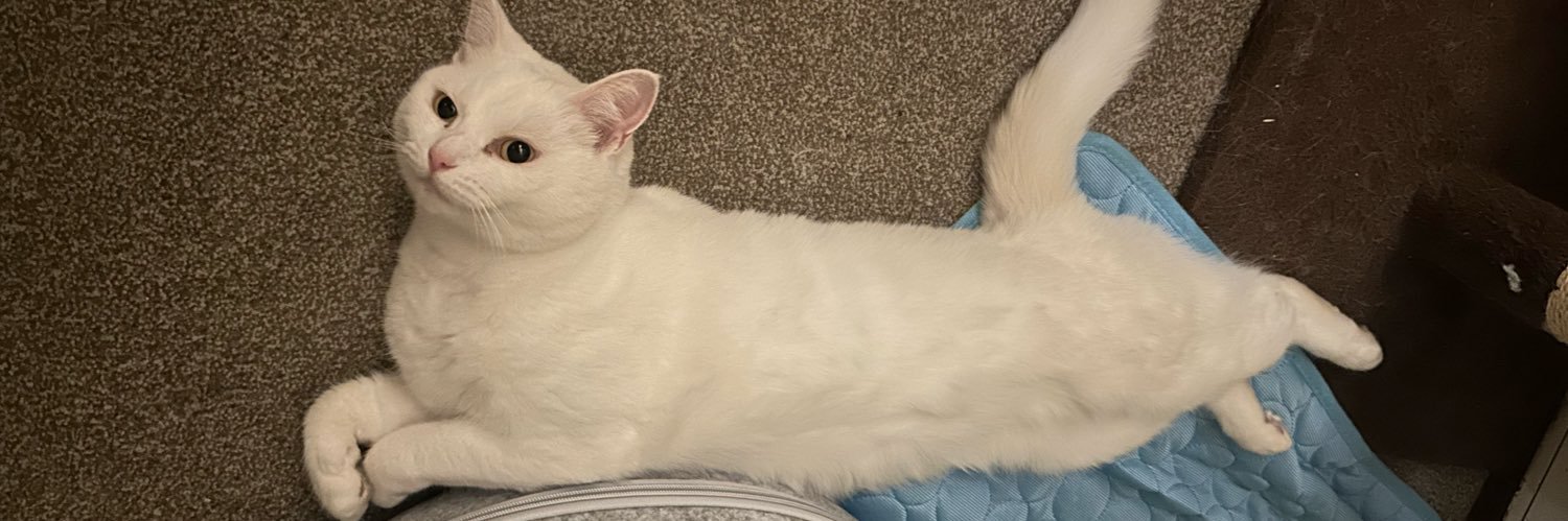 farisazad12's profile banner image