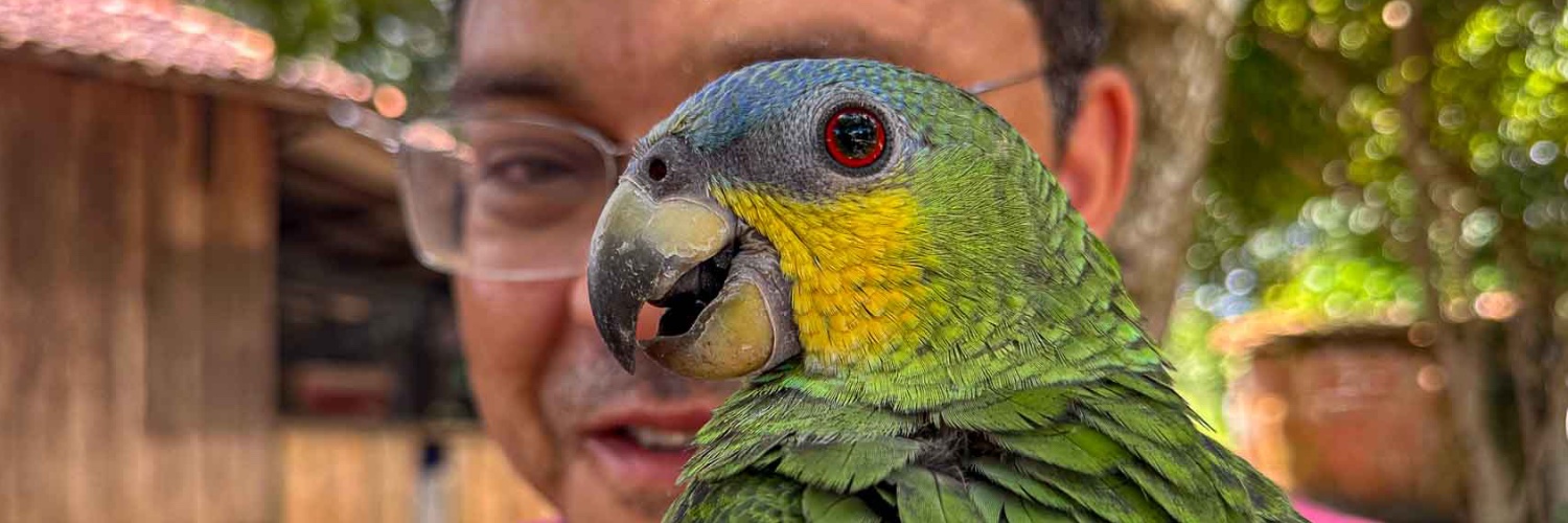 marcoscolon's profile banner image