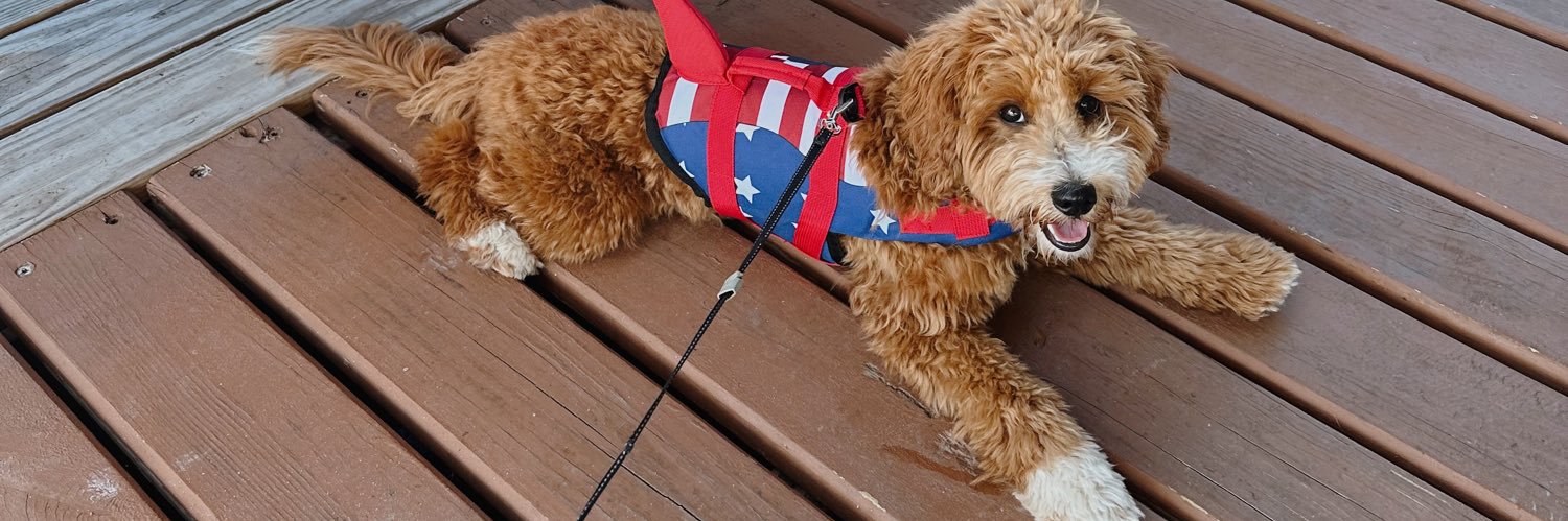 zackkary_2's profile banner image