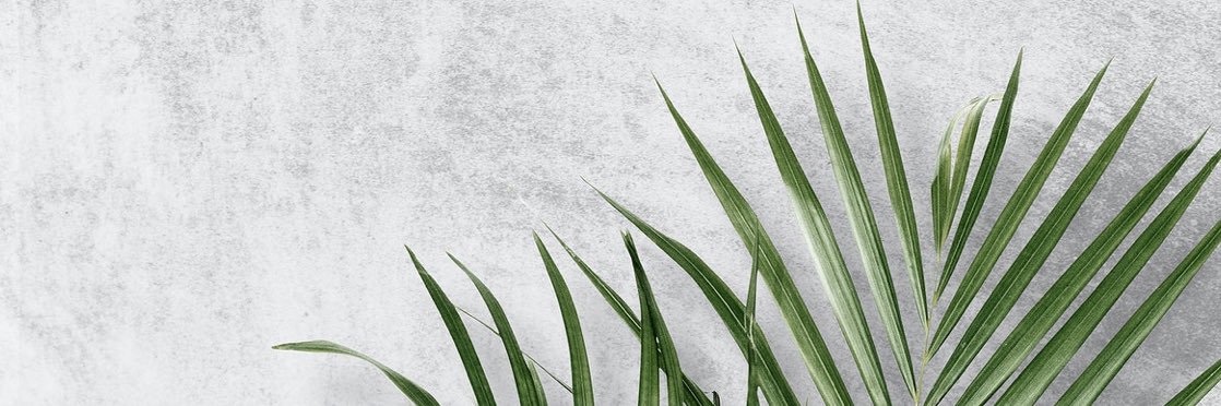 Timmaaaaaaaaa's profile banner image