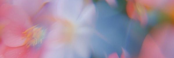 davotroon's profile banner image