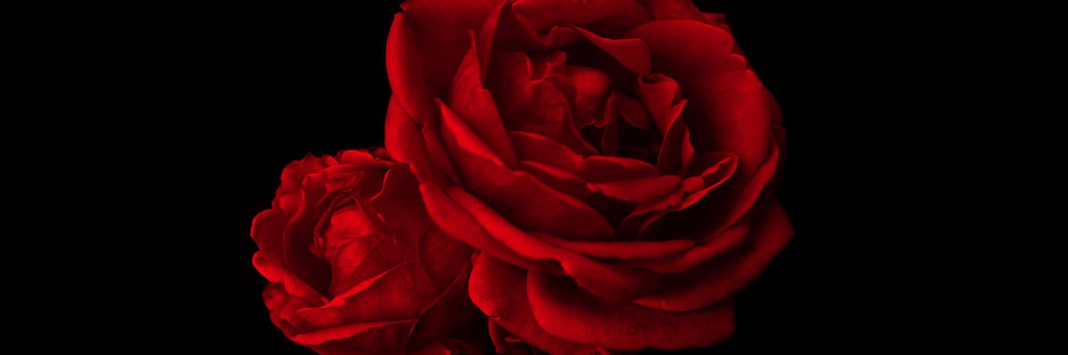 charleyaaaa's profile banner image