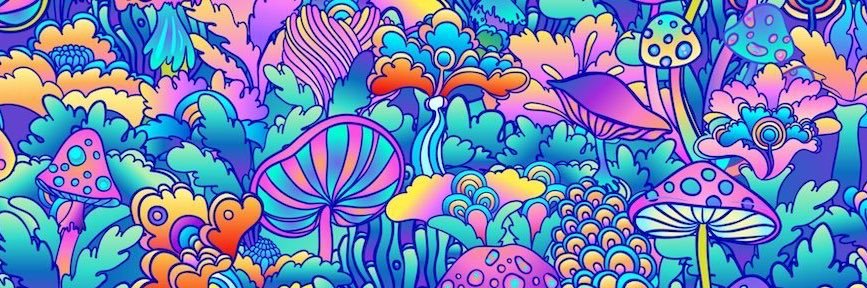 camerkazeCC's profile banner image