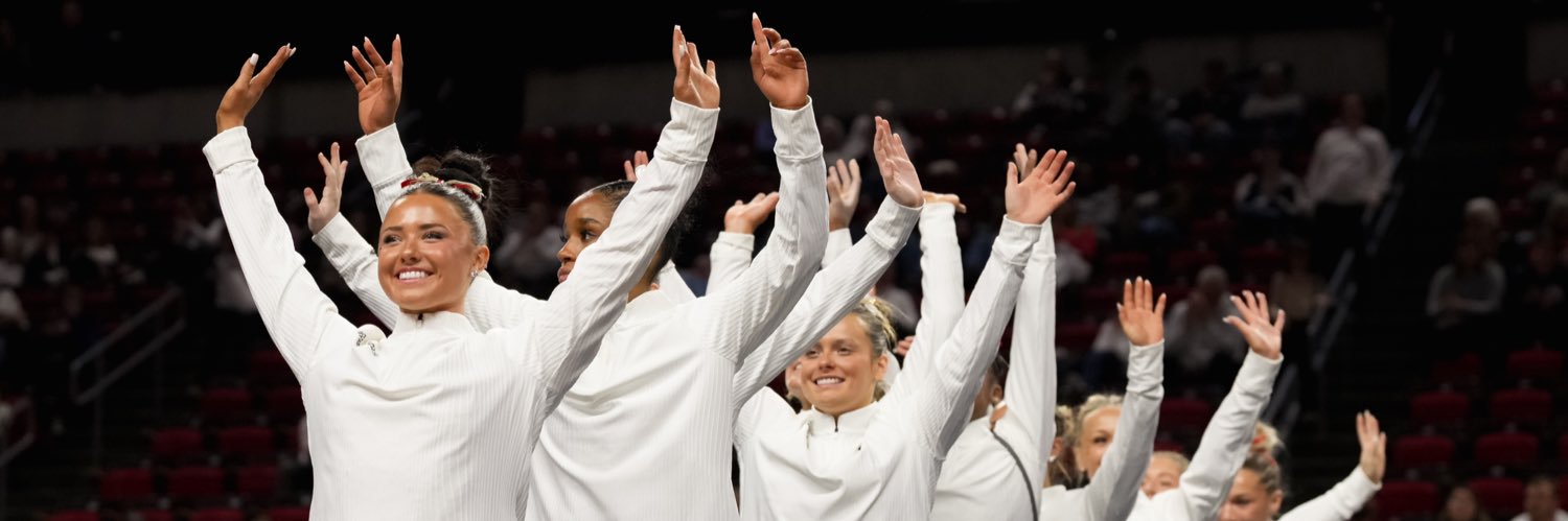 Iowa State Gymnastics banner