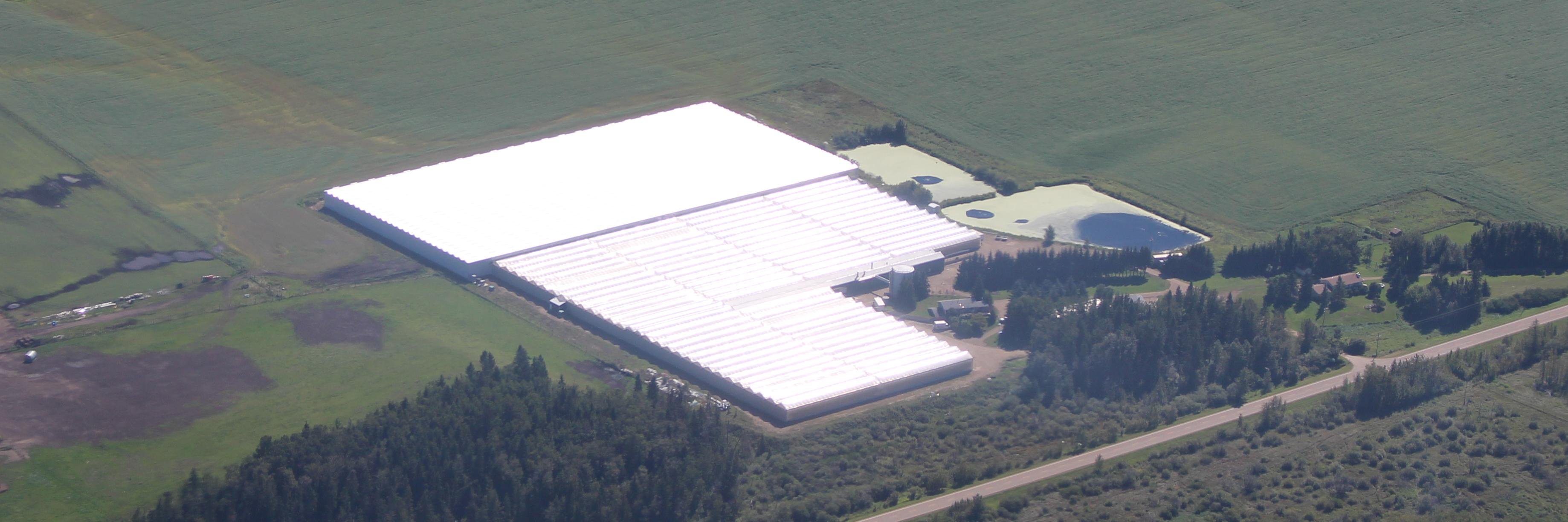 Doef's Greenhouses banner