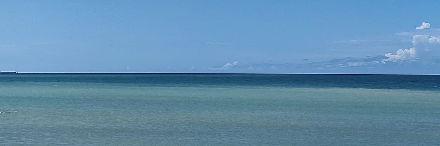 Danielapachec29's profile banner image