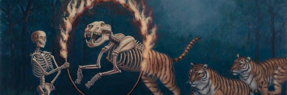 Jonvvest's profile banner image