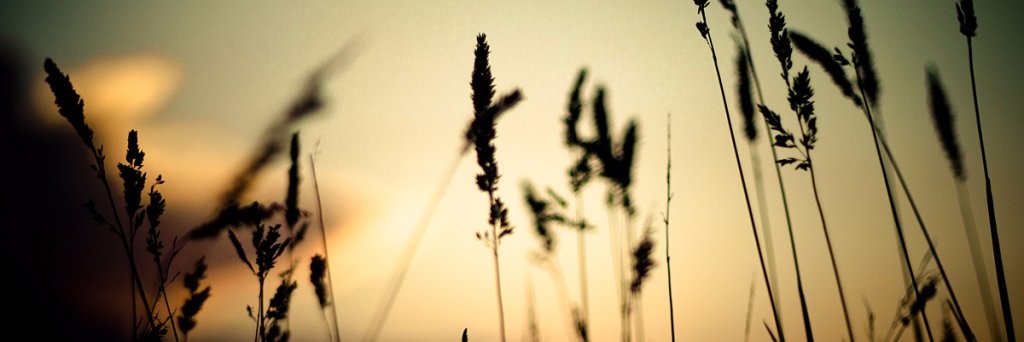 JihoonV's profile banner image