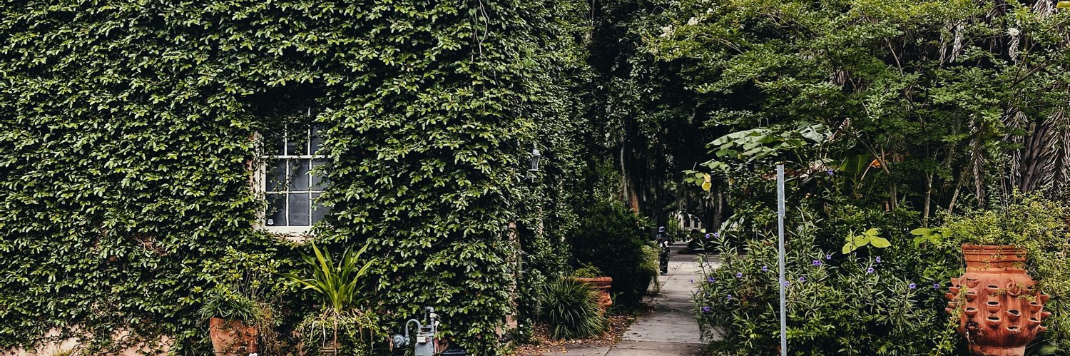 alexiswinterss's profile banner image