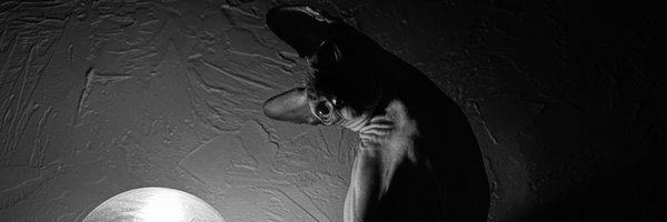 gonca_vuslateri Profile Banner