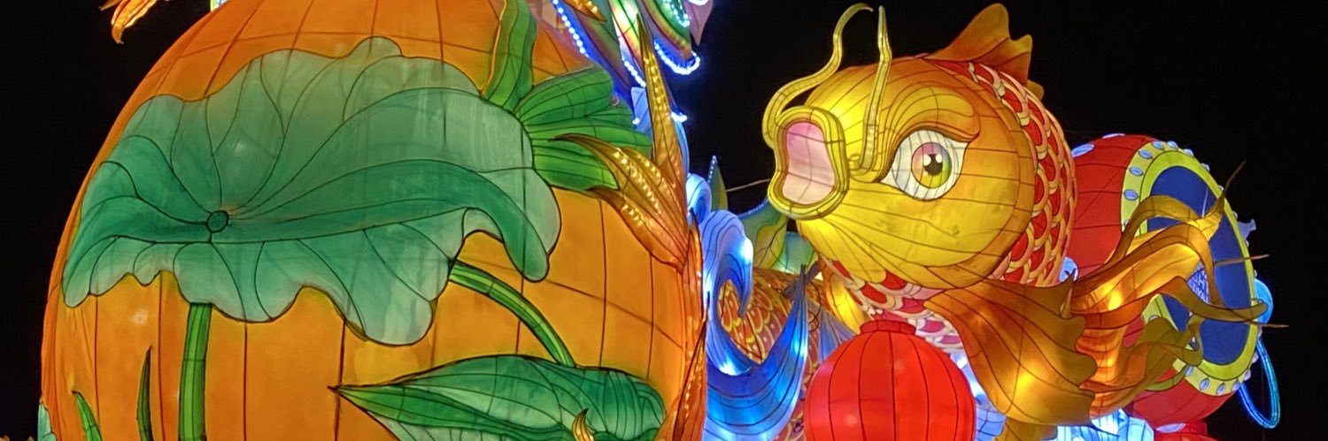 🇬🇷🇳🇱theUndutchable TL⁵⁰ x3✌️ banner