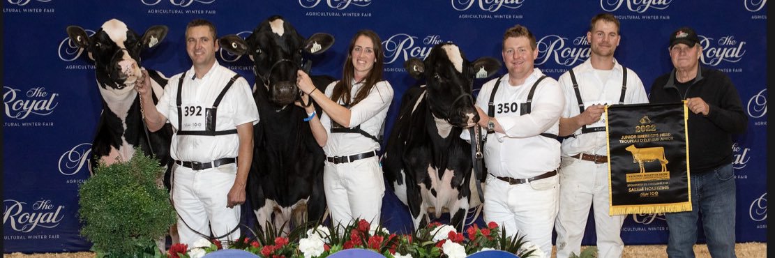 Kingswaycows's profile banner image