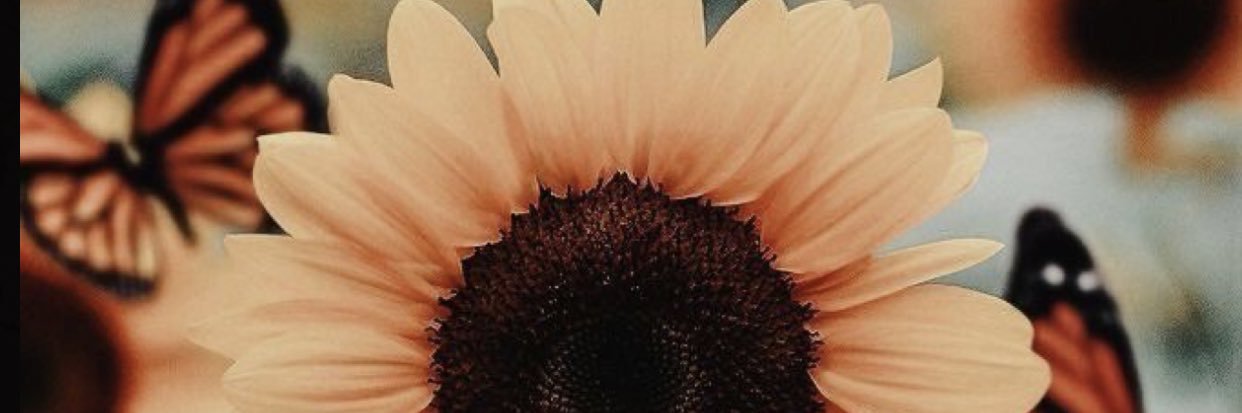 pamidnight4's profile banner image