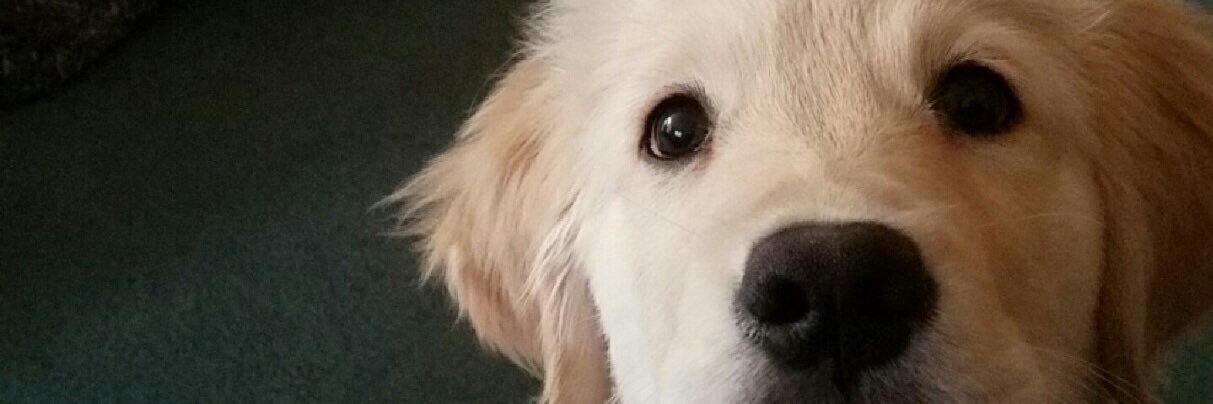 Tyler_Chaney12's profile banner image