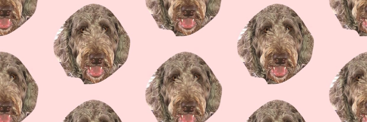 kadyhack's profile banner image