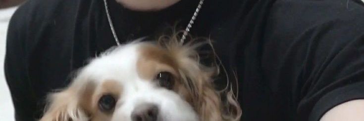 chlorinelix's profile banner image