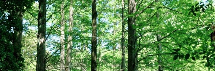 happyysaoringoo's profile banner image
