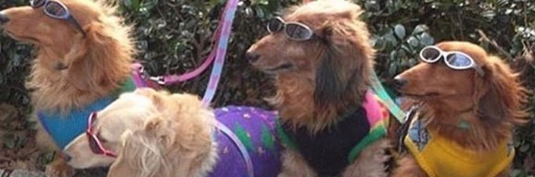 gabisfab1's profile banner image