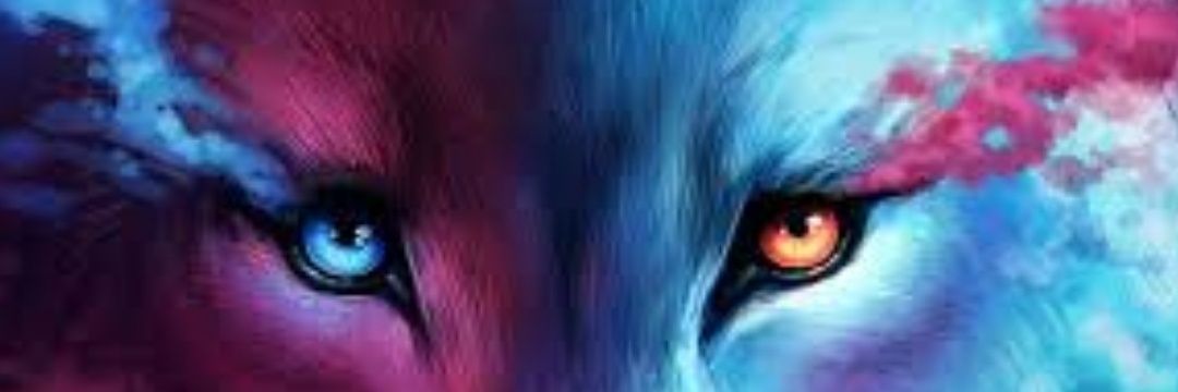 Malloliver's profile banner image