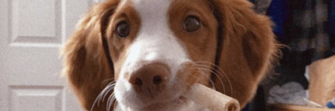RossTrystin's profile banner image