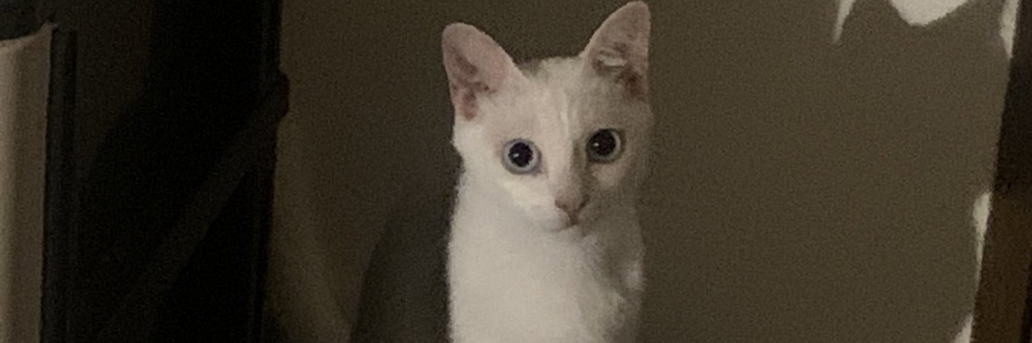_whoisrhna's profile banner image